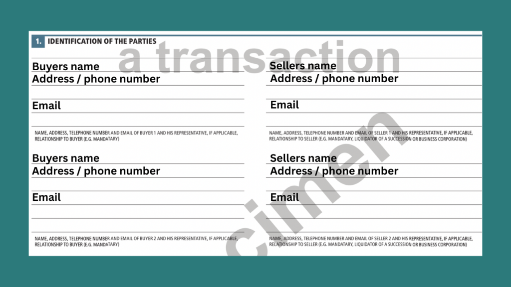 Identification of the parties