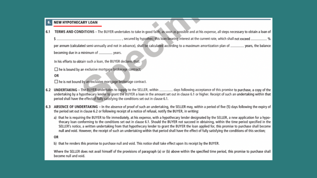 Section 6: New hypothecary loan
