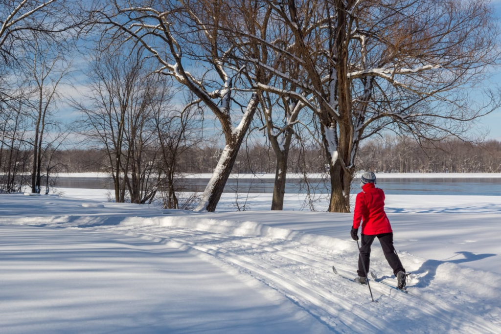 Montreal Real Estate
