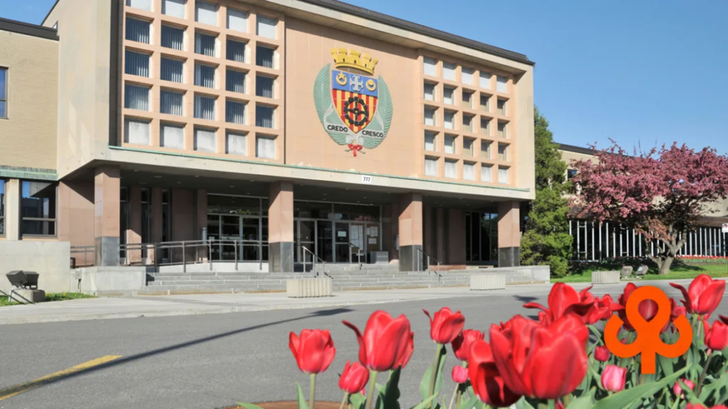 Montreal Real Estate