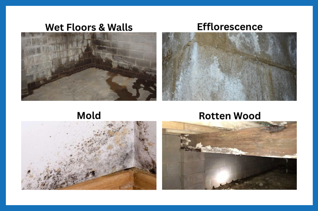Image of wet floors and walls, efforescense, mold and rotten wood