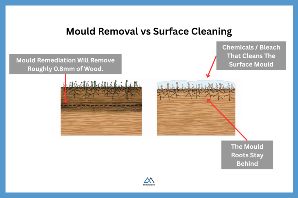 Side-by-side illustration of mould penetrating wood compared to surface cleaning that leaves underlying mould roots intact.